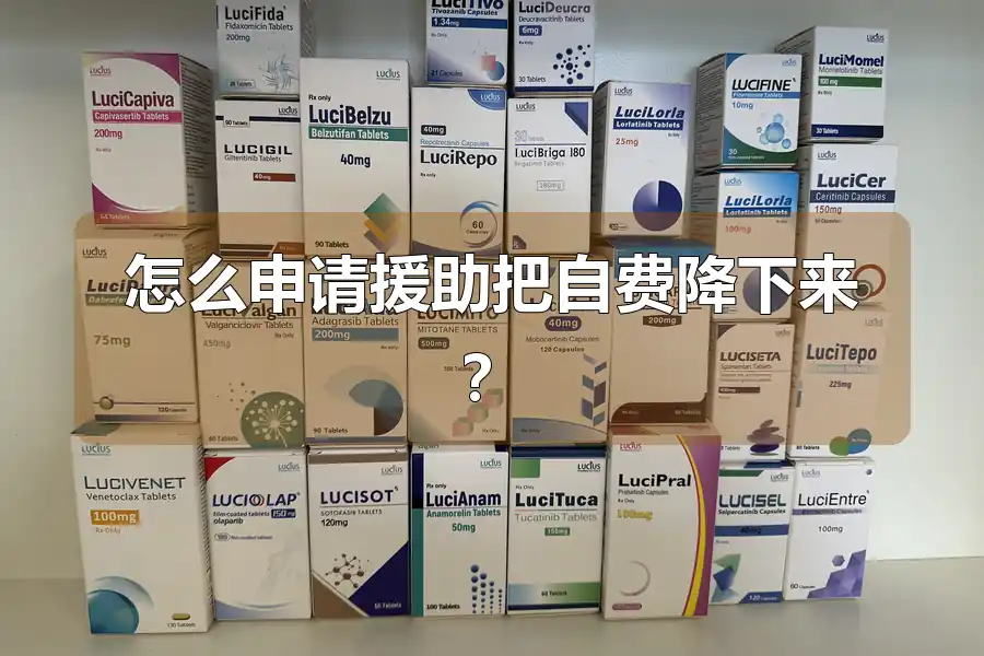 怎么申请援助把自费降下来？